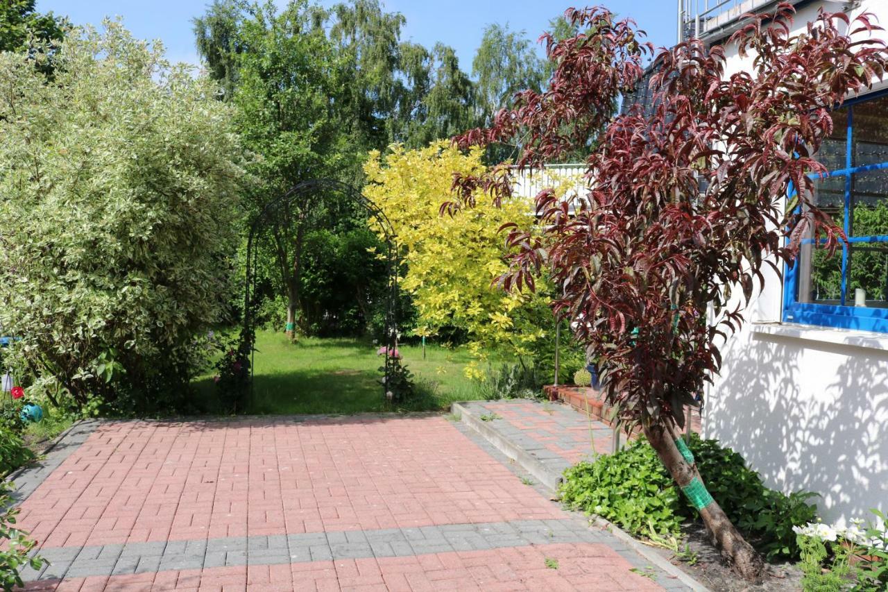 Ferienwohnung Kranichblick ซิงสท์ ภายนอก รูปภาพ